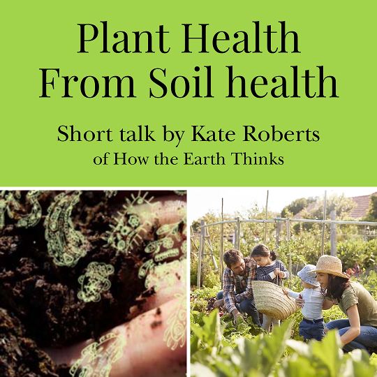 Plant Health From Soil Health