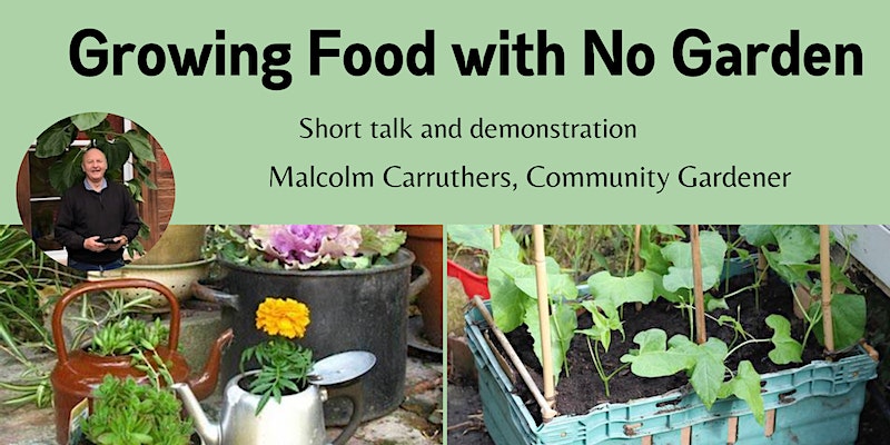 Growing food with no garden