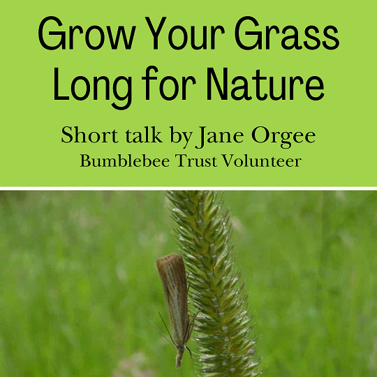 Grow Your Grass Long for Nature