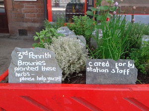 Penrith Railway Station herbs