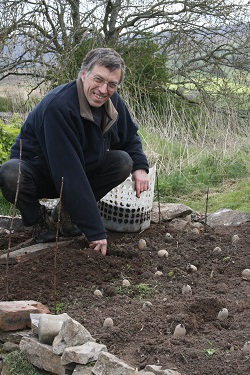 Chris Cant planting potatoes