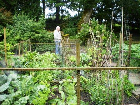 Norman English with his veg patch