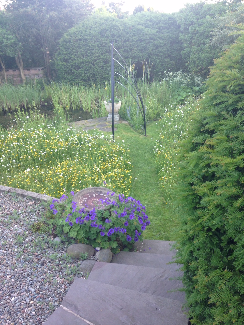 Maureen's lovely garden with wildflower lawn and pond