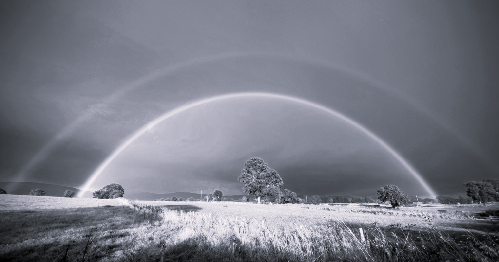 A double rainbow arcs across the sky, with a tree in the middle of a field.