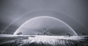 A double rainbow arcs across the sky, with a tree in the middle of a field.